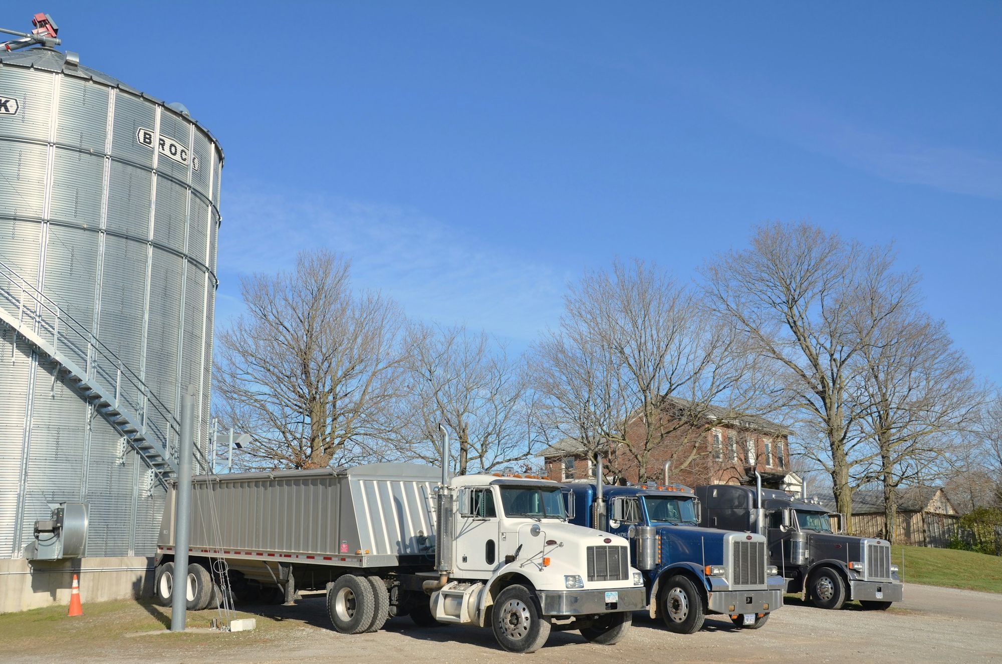Grain trucks with end-dump and hopper trailers parked beside a steel grain bin at a farm elevator.